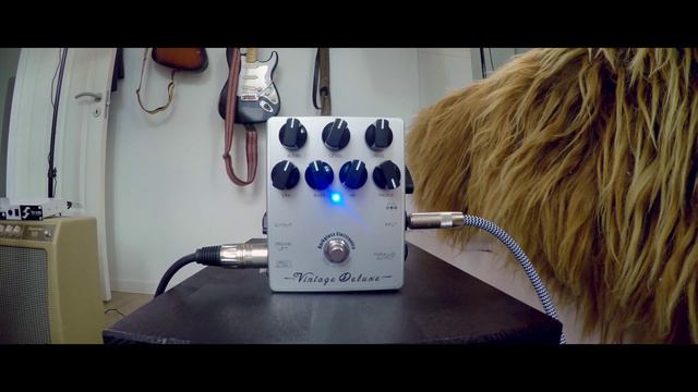 Darkglass Electronics Vintage Deluxe (demo)