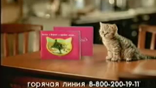 Реклама Whiskas набор Мой первый Whiskas (2005)