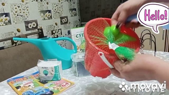 Какой магазин круче : FIX PREIS или Светофор? // Обзор покупок