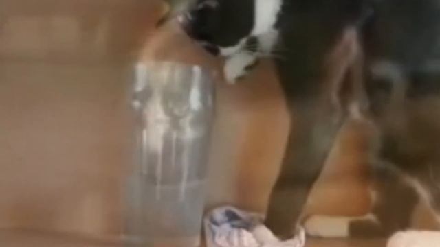 Алка, дай мне минералки!... смотреть онлайн