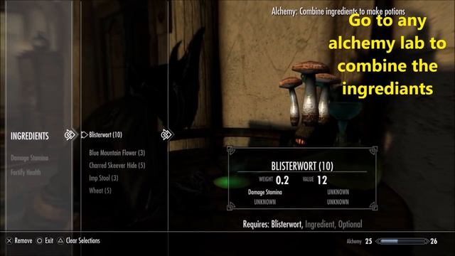 [Skyrim] How to Create a Health Potion смотреть онлайн