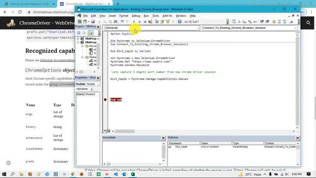 Selenium VBA - How do I interact with an existing browser session смотреть онлайн