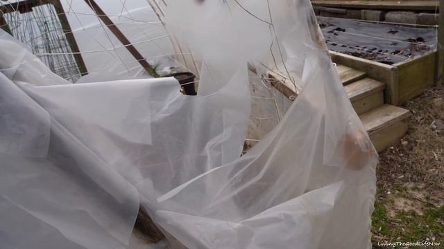 DIY Greenhouse Garden Build 4 Years Later Update & Homemade PVC Plastic Sheeting Attachment Clips смотреть онлайн