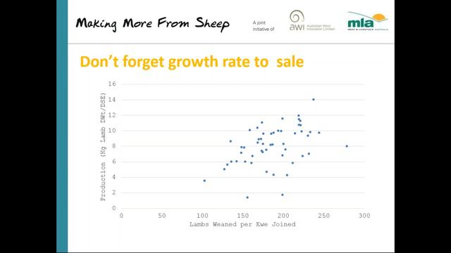 Making More from Sheep | Prime Lamb Benchmarks: an industry update смотреть онлайн