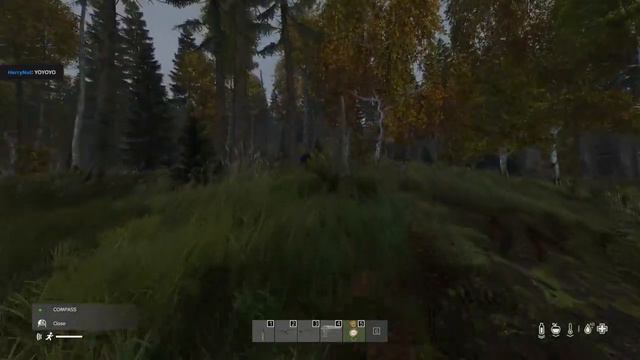DayZ: Vanilla Lonewolfing 07 - Teamed Up And Meeting My First Bear смотреть онлайн