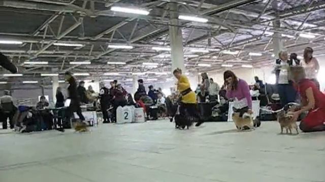 Монопородка Д Ш 23.01.2011.wmv смотреть онлайн