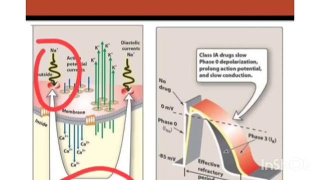 anti arrhythmic drugs with M.Atif Riaz смотреть онлайн