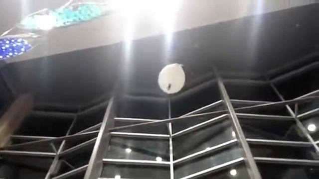 Video Oct 25, 7 37 25 PM смотреть онлайн