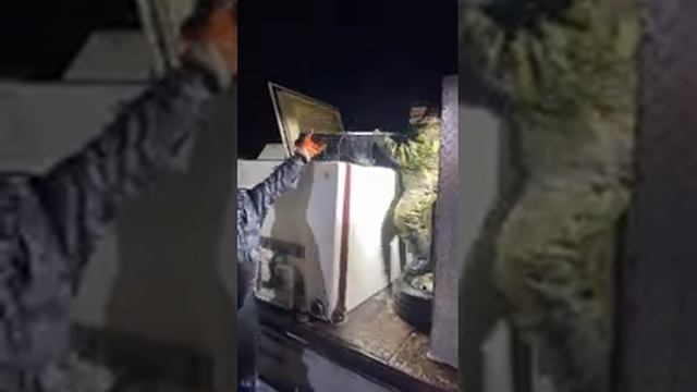 Белуга 30 кг + смотреть онлайн