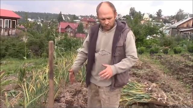 Мамин чеснок по природному Верхозин Юрий смотреть онлайн