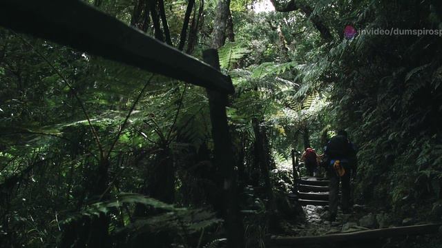 Видеоклип. Музыкальная пауза смотреть онлайн