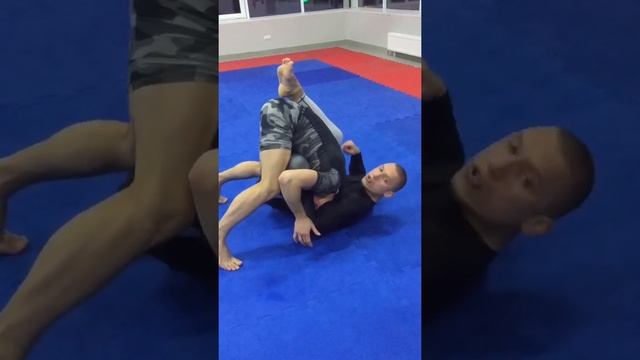 Семинар Paul Stolyar / Павел Столяр / BJJ / Grappling / Чёрный пояс по BJJ город Минск 2019 года… смотреть онлайн