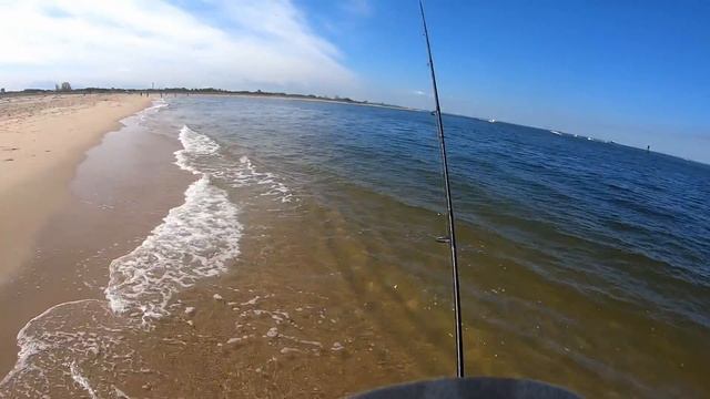 Surf Fluke (Flounder) Fishing - The Quest For A Shore Limit