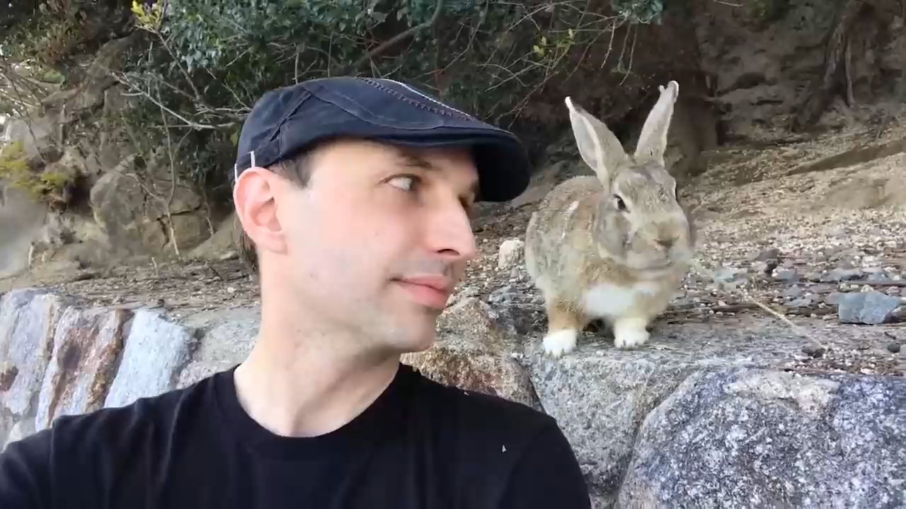 Остров кроликов в Японии (Окуносима) смотреть онлайн