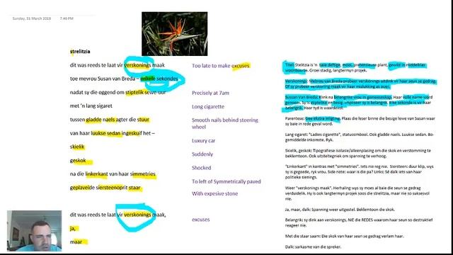 Summary Of Strelitzia