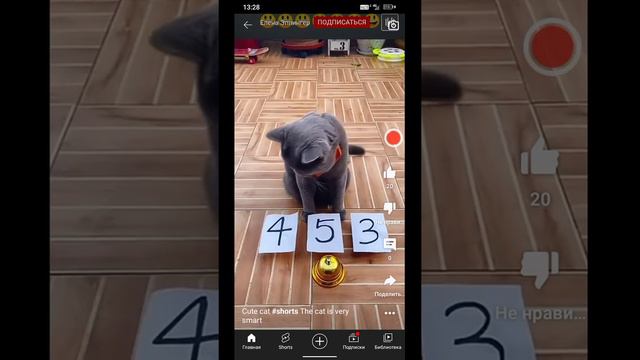 мы будем смотреть YouTube без звука смотреть онлайн