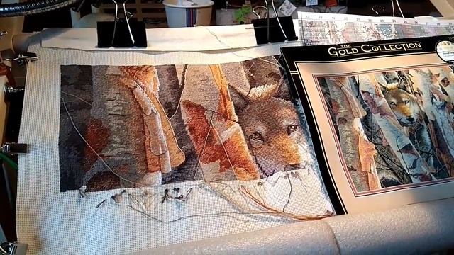 сп мои любимые животные от Аллы Белочки. DIMENSIONS, the Guardian смотреть онлайн