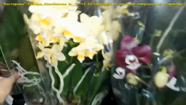ШИКАРНЫЙ завоз ОРХИДЕЙ: