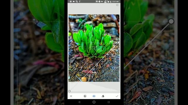 Snapseed Amazing Editing - Pro Editor Json смотреть онлайн
