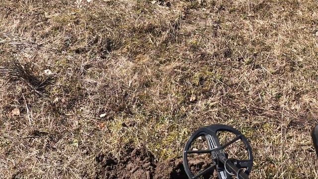 Поиск с Nokta Makro Legend