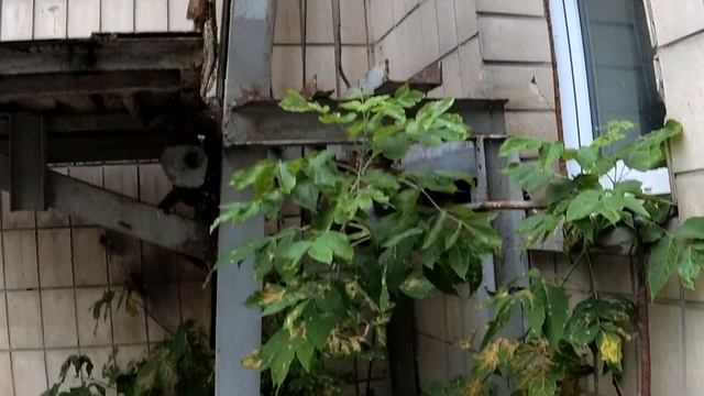 Загадка для всех любителей лифтовых каналов , где замечен этот агрегат смотреть онлайн