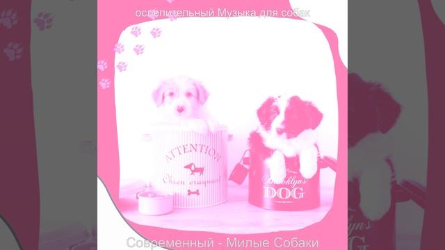 Атмосфера (Выгул собак) смотреть онлайн