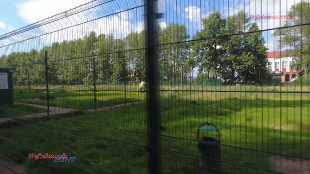 Места для выгула собак заросли травой? смотреть онлайн