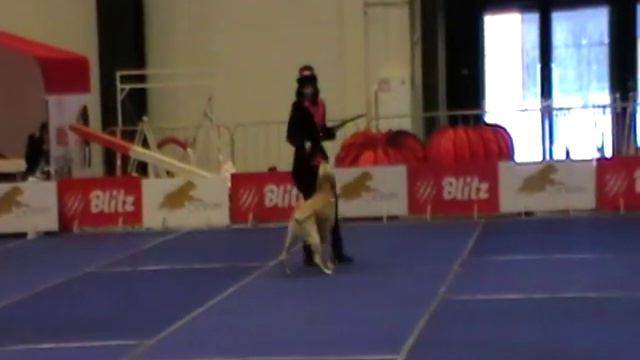 Егорова Марина и ЯНКИ ГУДВИЛ ФАНТЕЛИТА_Открытый-Фристайл