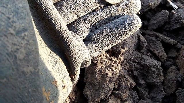 МЕТАЛЛОИСКАТЕЛь Fisher F75 + Detech Ultimate  НЕ остановить!