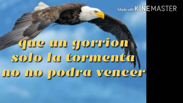 COMO EL VUELO DE UN ÁGUILA VÍDEO LETRAS. смотреть онлайн