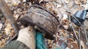 Коп такой, какой он есть. Ищу металл в Татарстане. Весенний коп 2022.