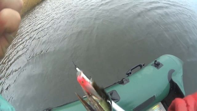 Рыбалка на реке Подпольная Ростовская область ноябрь 2017 смотреть онлайн