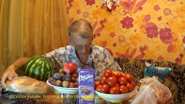 Какие Цены в Киеве На Продукты и Фрукты В Супермаркете?  Kiev, Ukraine