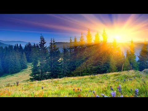 Благая весть об очевидном Боге. смотреть онлайн