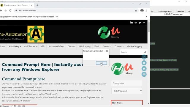 Различные методы Selenium для получения и настройки данных на странице c AHK смотреть онлайн