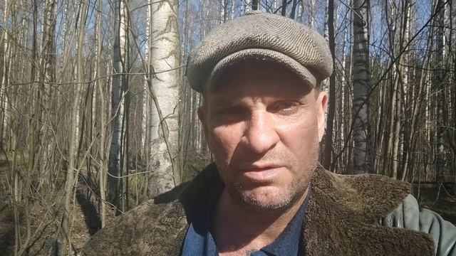 Заряд на результат! (prof.Зелинский) смотреть онлайн