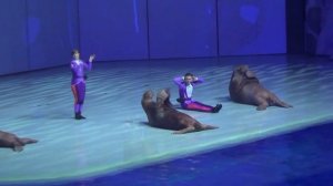 Москвариум – водное шоу.  8 тыс. различных морских животных со всего мира.