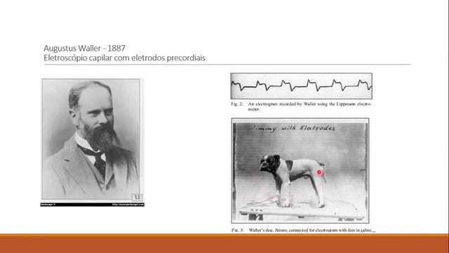 MÓDULO 3 - Aula 14: As bases da eletrocardiografia I - Prof. MSc Aimée Durço смотреть онлайн