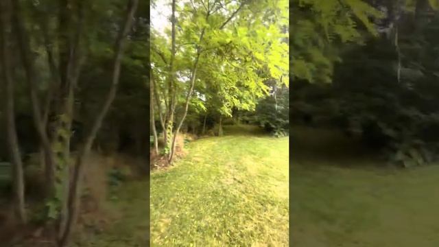 Обзор дома в Канаде за 5 мультов , Торонто .25 гектаров .2022 цены уже упали ! смотреть онлайн