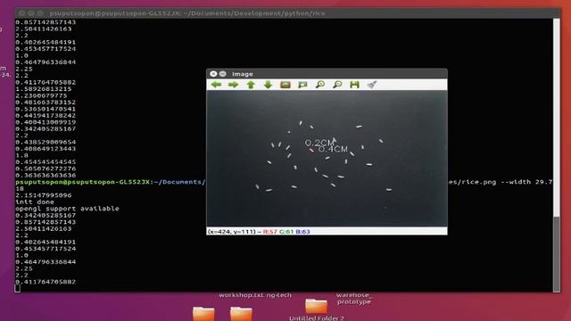 Rice Dectection and measuring size of objects V2 смотреть онлайн
