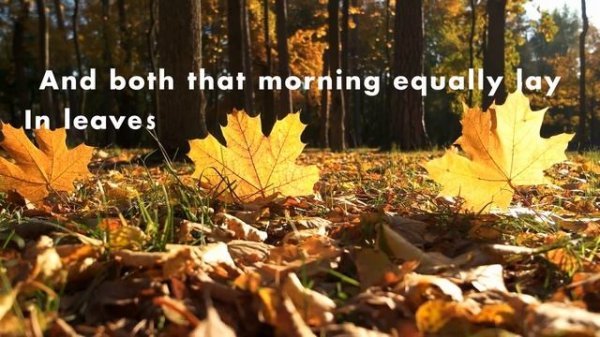 Tex Talks Poetry: The Road Not Taken