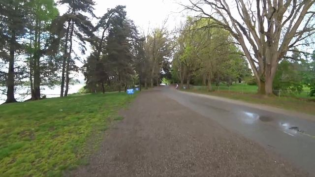 Вечерняя прогулка под дождем