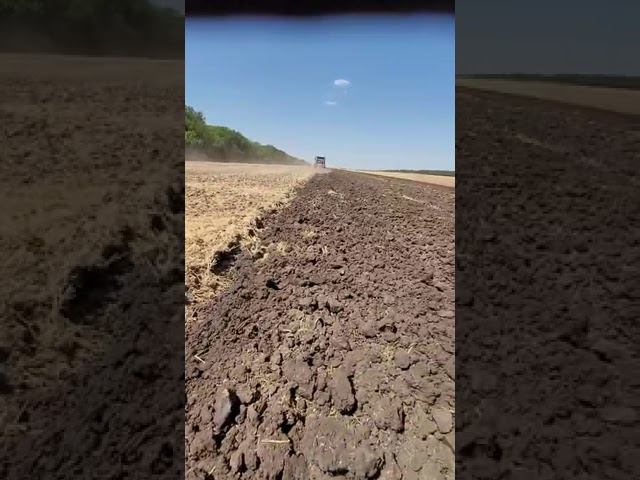 Плуг ПС-8/35 в работе. Фермер доволен! #ипсергиенко #трактор #плугкропоткин смотреть онлайн