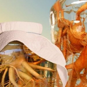 НАСТОЙКА ЖЕНЬШЕНЯ.mp4