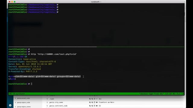 Creare un WAF: Capitolo 5 смотреть онлайн