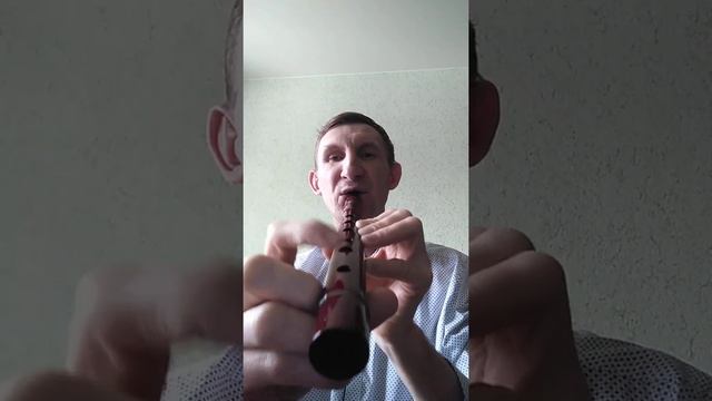 Мистер кредо медляк.(кавер Саксофон и Флейта кена) смотреть онлайн