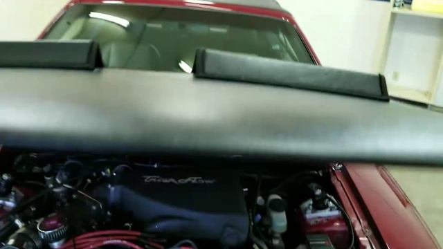 Walk around of my Supercharged 1995 5.0 Mustang with Trickflow Heads,Cam,Intake and Meth injection. смотреть онлайн