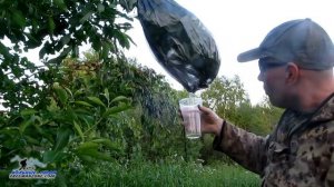 КАК НАЙТИ ВОДУ В ЛЕСУ. ДОБЫЧА ВОДЫ ПРИ ЧС. Известные способы добычи воды  - правда или миф. Бушкраф
