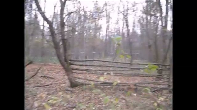 Первая притравка щенков Чакган и Чара 6 месяцев . смотреть онлайн