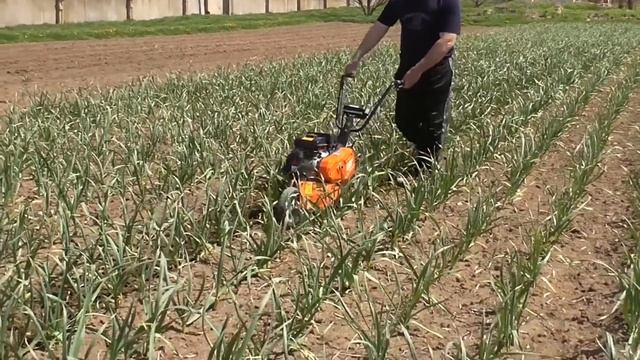 Зроби так і ЧАСНИК виросте крупним! смотреть онлайн